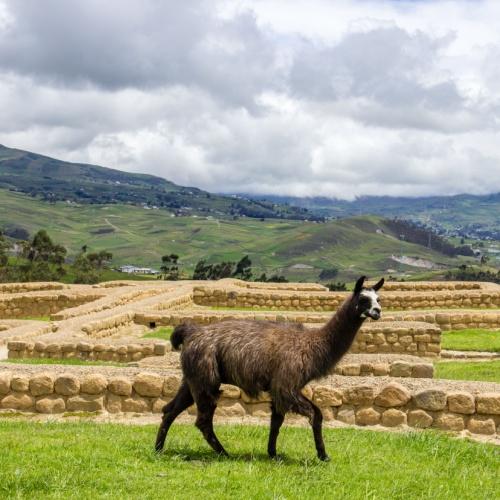 Ingapirca, Ecuador