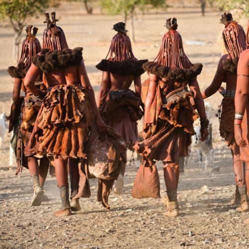 Himba vrouwen onderweg naar hun dorp