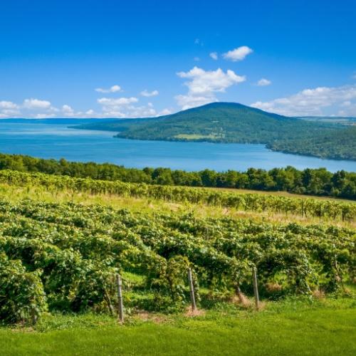 Finger Lakes, Canandaigua Lake