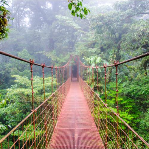 Monteverde, hangbrug