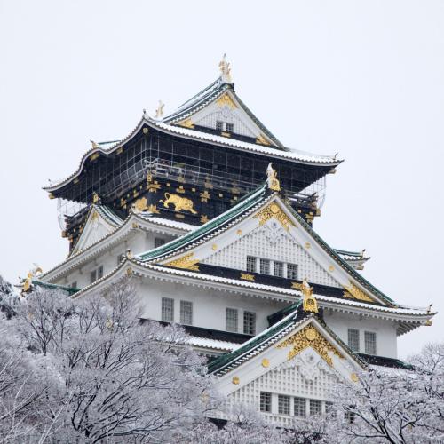 Het kasteel van Osaka met sneeuw