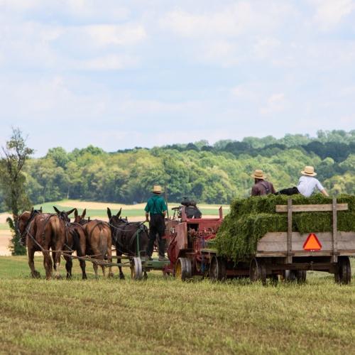 Amish Country, Pennsylvania