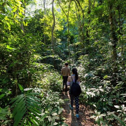 Jungle trekking Khao Sok