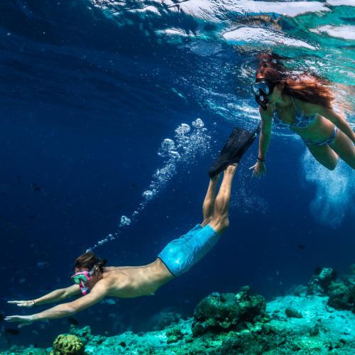 Hele dag snorkelen - houten boot