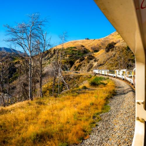 Tranzalpine express