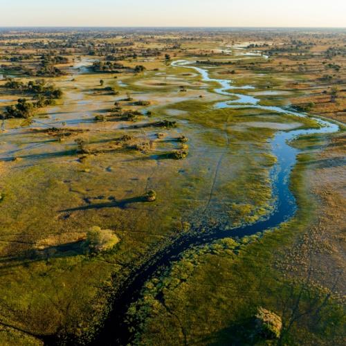 Rondvlucht over Okavango Delta