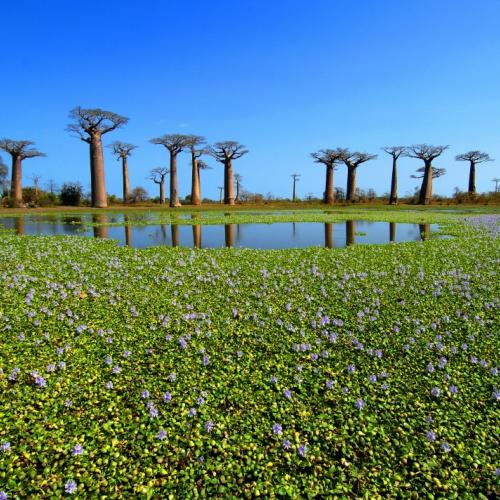 Meer in Morondava