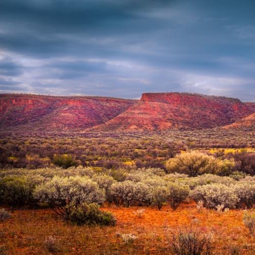 Watarrka Nationaal park