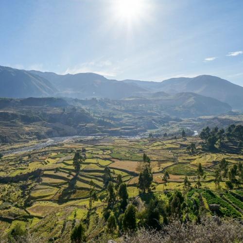 Antahuilque en de 1500 jaar oude terrassen van de Collagues