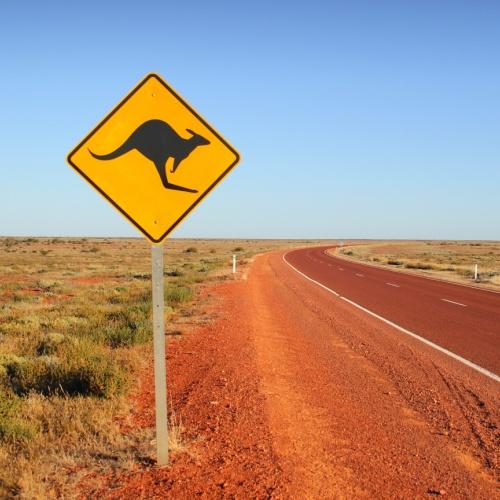 Kangoeroe verkeersbord