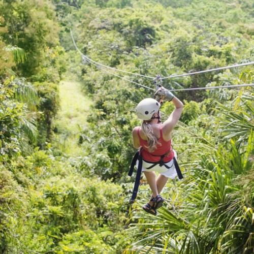 Canopy tour