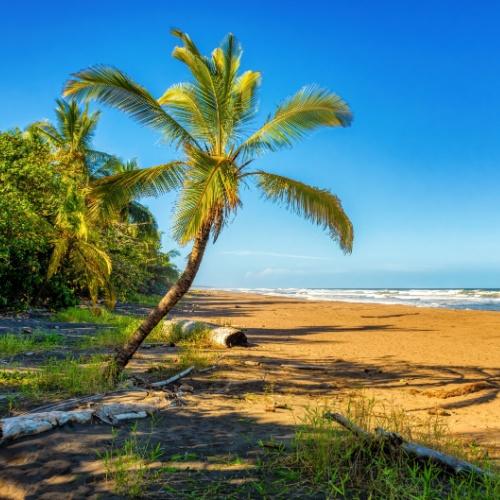 Het strand van Tortuguero Nationaal Park