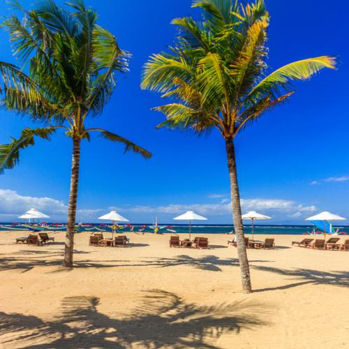 Palmbomen op het strand van Sanur