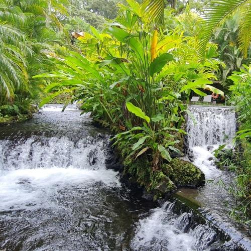 Hotsprings La Fortuna