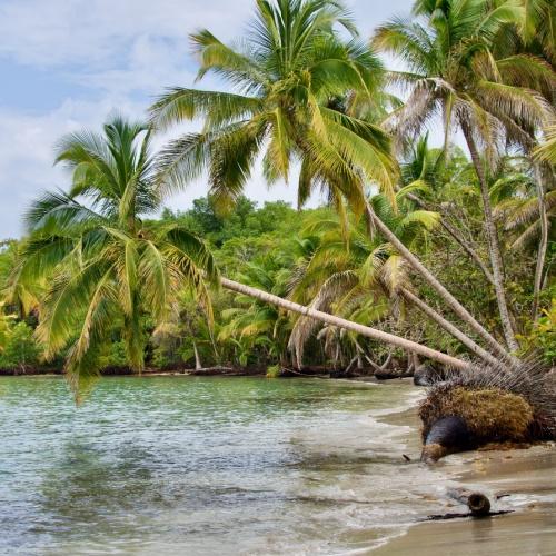 Tropische strand van Bocas del Toro