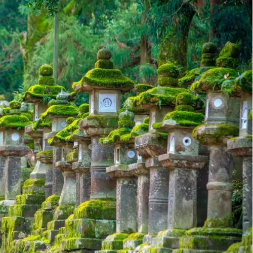 De lantaarns van Kasuga Taisha