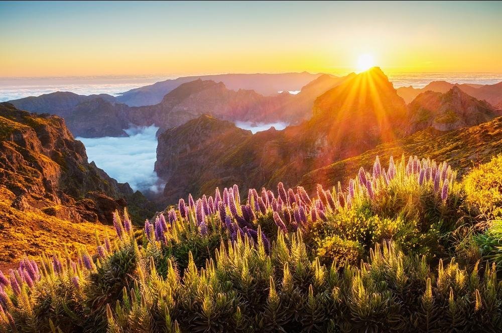 Pico do Arieiro, Madeira